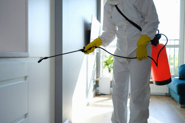 Best Mold Remediation for Specific Building Types in Grant, AL