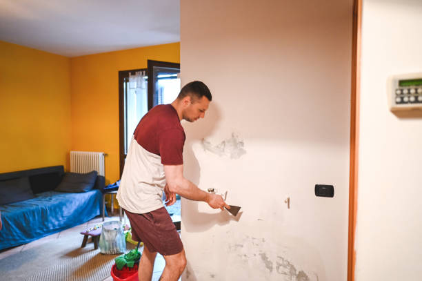 Best Residential Mold Remediation in Grant, AL